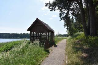   Drewniana kładka wokół malowniczego stawu. Niezwykła atrakcja w Mazurskim Parku Krajobrazowym [ZDJĘCIA]