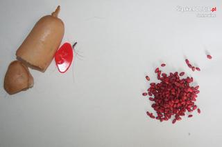 Zwyrodnialec chciał otruć psa na oczach właścicieli! Zwierzę było od niego mądrzejsze