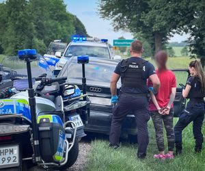 21-latka będzie miała ogromne kłopoty. Zaskakujący finał kontroli drogowej