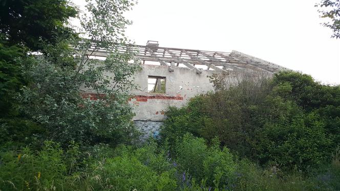 Jakie tajemnice kryją Górki Fordońskie?