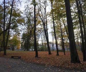 Park Lubomirskich w Białymstoku jesienią 