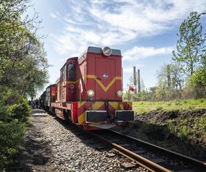 Kolej Wąskotorowa ruszyła w trasę