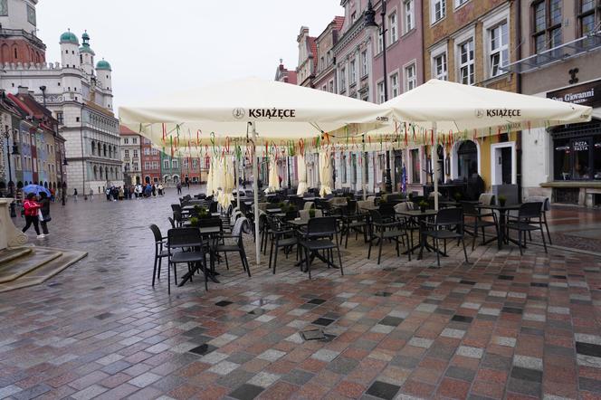 Ogródki wróciły na Stary Rynek w Poznaniu