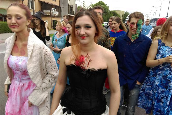 Juwenalia 2018 w Rzeszowie: Szczegółowy program korowodu i koncertów jest już znany!