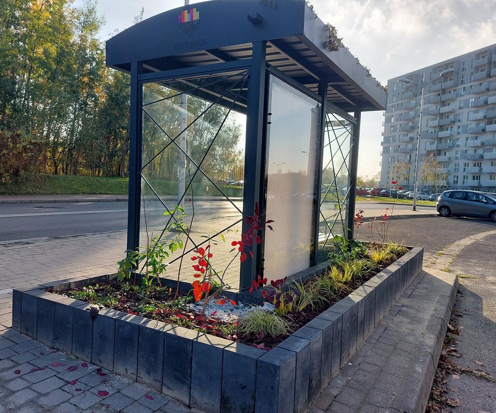 Zielone przystanki w Katowicach: droższe są tylko ławeczki patriotyczne 