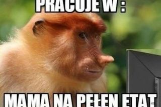Najlepsze memy na Dzień Matki 2025. Internauci potrafią być kreatywni. Sprawdź, nasze zestawienie [GALERIA]