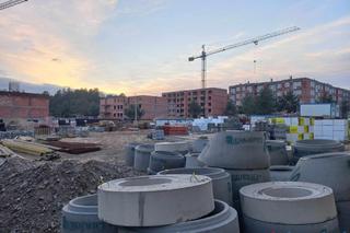 Miejsce masowego grobu na tzw. Glinkach w Toruniu