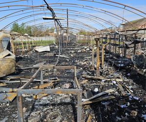 Gigantyczny pożar w Czaczu! Spłonęły magazyny antyków [ZDJĘCIA]