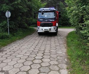 Staruszka wjechała samochodem do stawu! Dramatyczna akcja strażaków