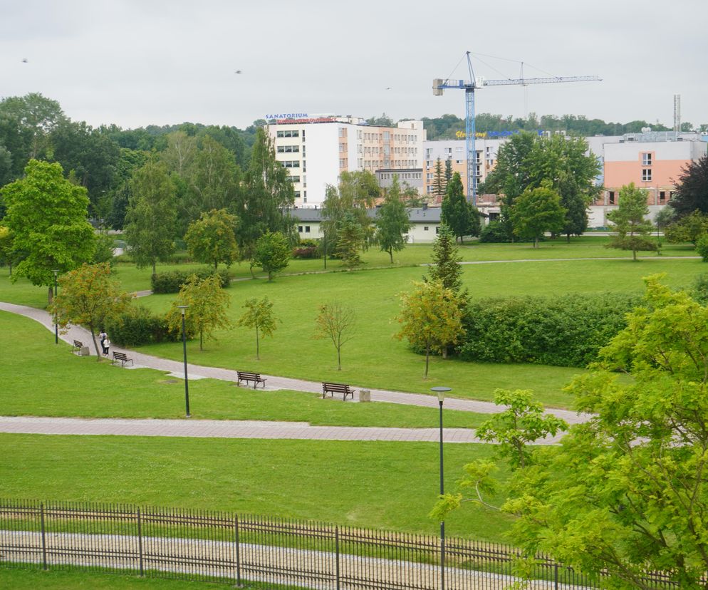 AI wskazała: to miasto rozwija się najlepiej w regionie