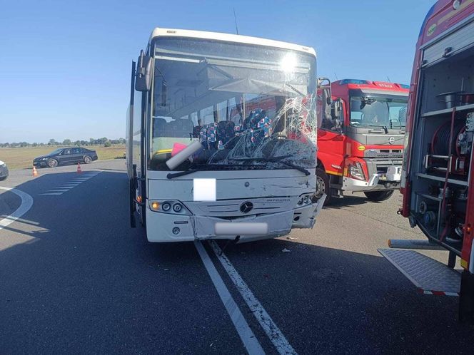 Śmiertelny wypadek na DK5. Toyota wjechała pod autobus. 27-latka nie żyje