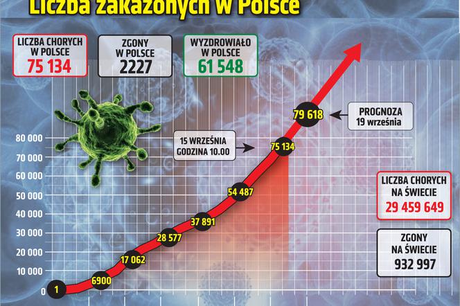 Koronawirus w Polsce. Dane na 15 września