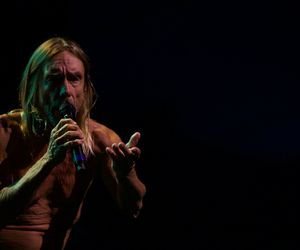 Punkowy klasyk The Stooges, którego tematem jest... przyrodzenie Iggy'ego Popa!