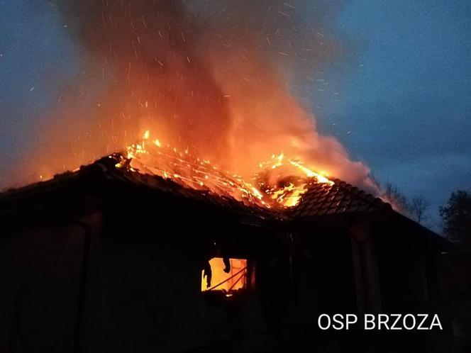 Groźny pożar w podbydgoskiej Kobylarni! W garażu spłonął samochód! [ZDJĘCIA]