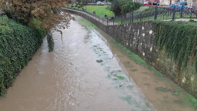 Wątok w Tarnowie po opadach (31.08.2021)