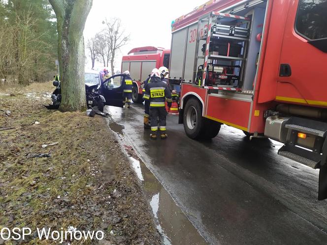 Dąbrówka Nowa. Samochód roztrzaskał się na drzewie! 2 osoby trafiły do szpitala