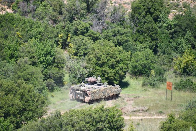 Ponad 400 nowych wozów bojowych i modernizacja czołgów. Niemcy kuszą Grecję