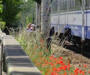 Tragedia na moście Gdańskim! Pieszy wpadł pod pociąg, nie było szans na ratunek