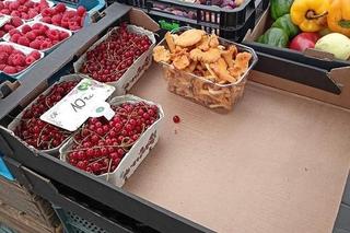 Ile kosztują kurki w Poznaniu?