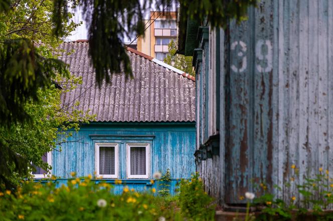 Osiedle "Przyjaźń" w Warszawie - zobacz zdjęcia drewnianej enklawy wśród zieleni