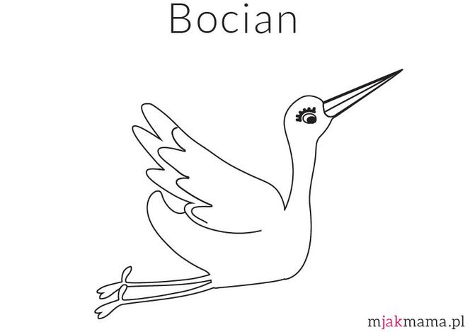 ptaki kolorowanki - bocian