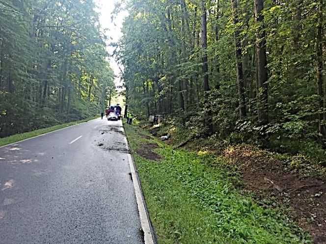 Wypadek pod Iławą i znów sprawcą nietrzeźwy kierujący