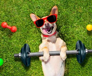 Fitness ze sztangą (body pump, magic bar): na czym polega i jakie daje efekty?