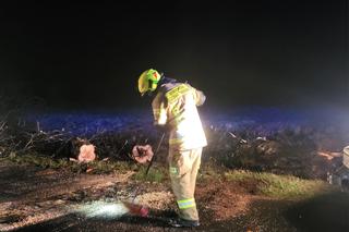 Wichura w Zachodniopomorskiem 