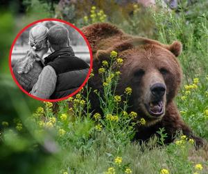 Horror w parku narodowym. Ogromny niedźwiedź zabił małżeństwo turystów i ich psa! 