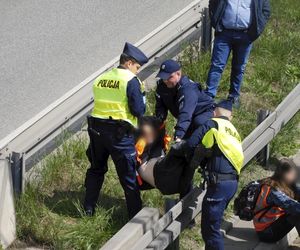 Ostatnie Pokolenie znowu to zrobiło! Przykleili się do asfaltu na trasie S8