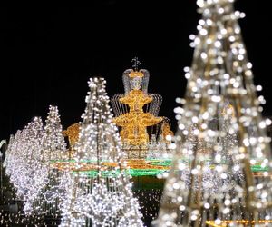 Królewski Ogród Światła w Wilanowie