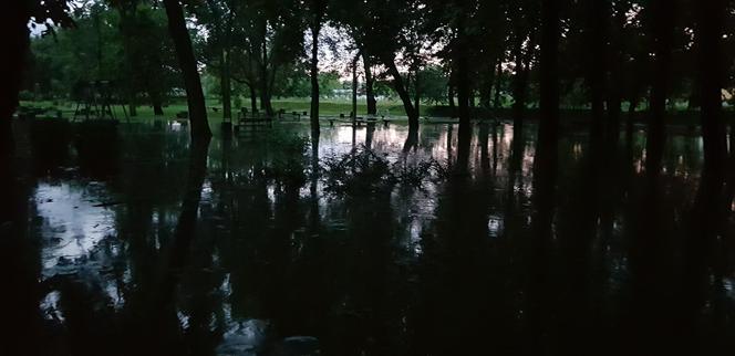 Krajobraz po burzach i ulewach na Śląsku i w Zagłębiu. Zalało ulice Czeladzi, Bytomia, Rudy Śląskiej [ZDJĘCIA,WIDEO]