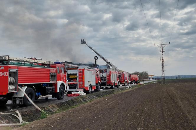 Ogromny pożar w Studzienicach. Płonie hala magazynowa