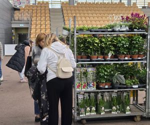 Festiwal Roślin znów zachwycił bydgoszczan! Setki gatunków i wyjątkowa atmosfera