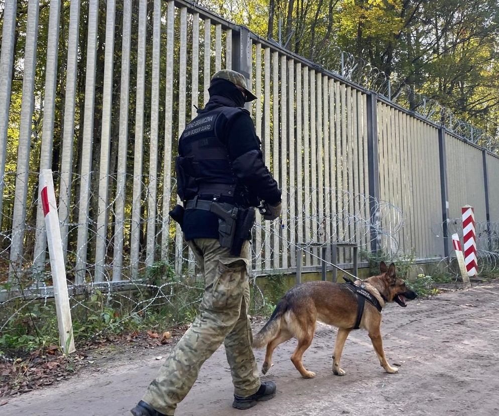 Nielegalni migranci próbują dostać się do Polski. Trwa wzmacnianie stalowej zapory