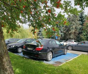 Szpital papieski ma nowy system parkingowy