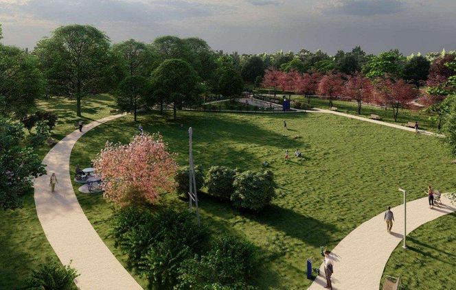 Godów nazwie park na cześć Franciszka Pieczki
