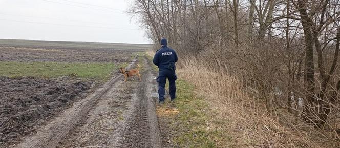 Tajemnicze zaginięcie 73 letniej Krystyny z Łowiec