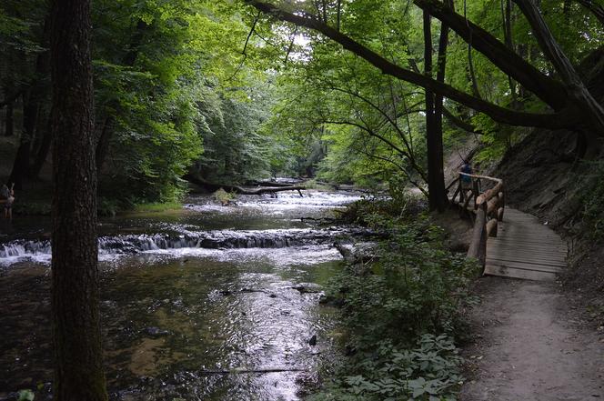 Wiślana trasa rowerowa