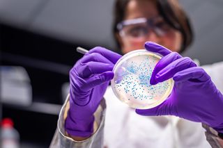 Alarm epidemiologiczny u naszych sąsiadów. Czy zagrożenie może dotrzeć do Polski?