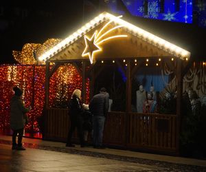 Szopka bożonarodzeniowa na Starym Rynku zachwyca bydgoszczan