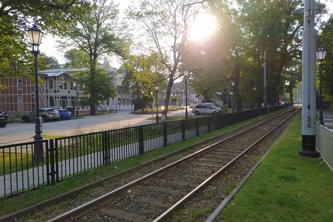 Zielone torowisko w Brzeźnie. Dzięki temu tramwaje będą jeździć ciszej