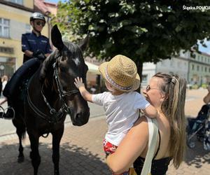 Wojewódzkie Obchody Święta Policji w Żorach 2024