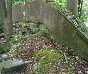 Ruiny pałacu rodu von Ramin