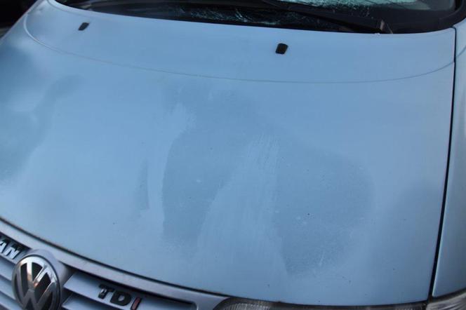 Tarnów: ŚMIERĆ na drodze. Kierowca nie zdążył wyhamować i wpadł w pieszego 