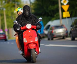 Nadchodzi Jungle Night w FACTORY Kraków. Rabaty sięgną nawet 50 procent!