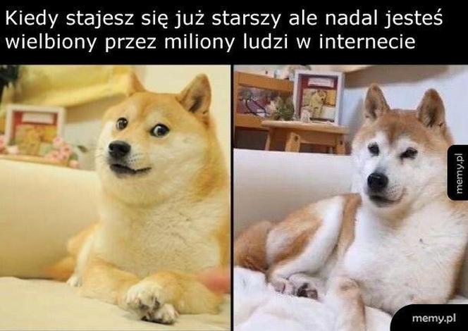 Pieseł