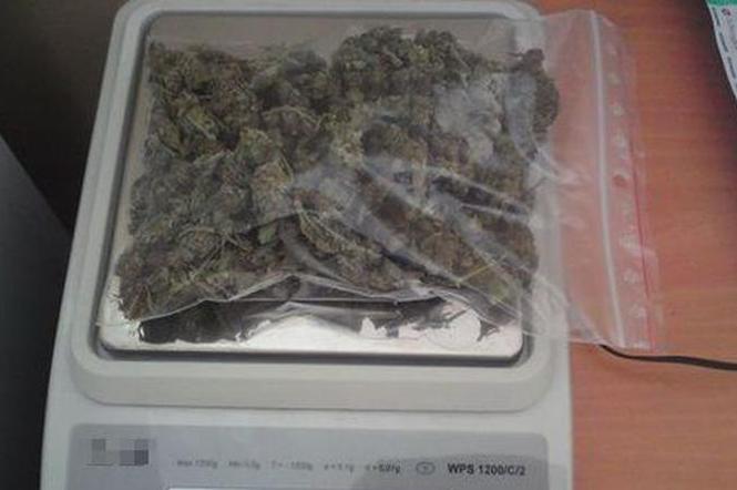 Marihuana znaleziona w mieszkaniu zatrzymanego