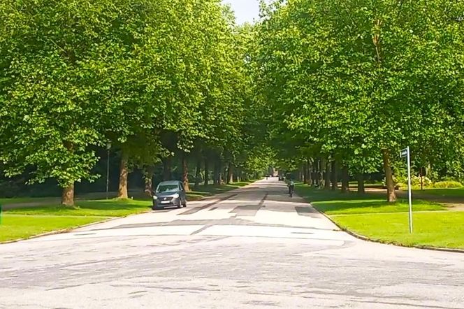 Ohlsdorfer Friedhof w Hamburgu