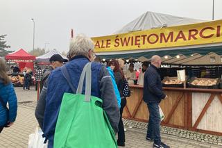 Wszystkich Świętych 2022 Poznań 